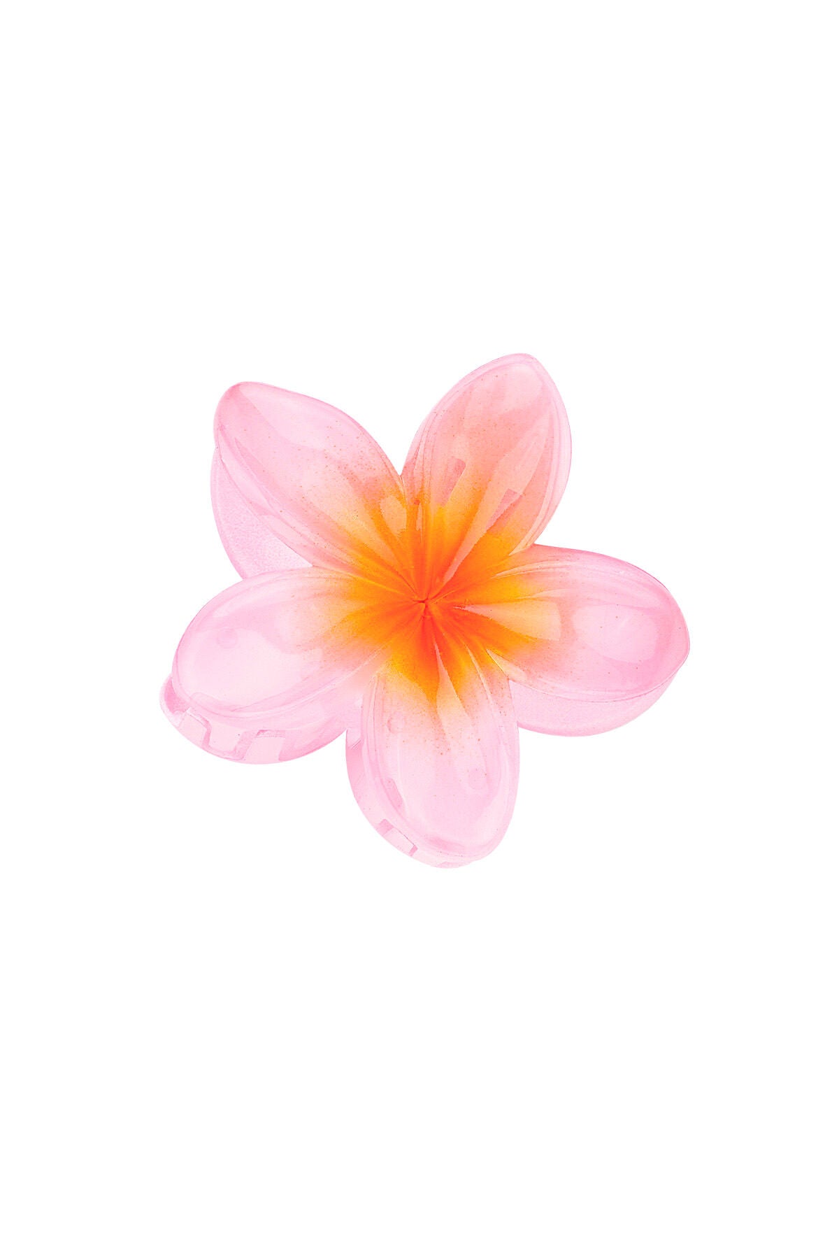Colorful Plastic Hair Clips for Stylish Looks