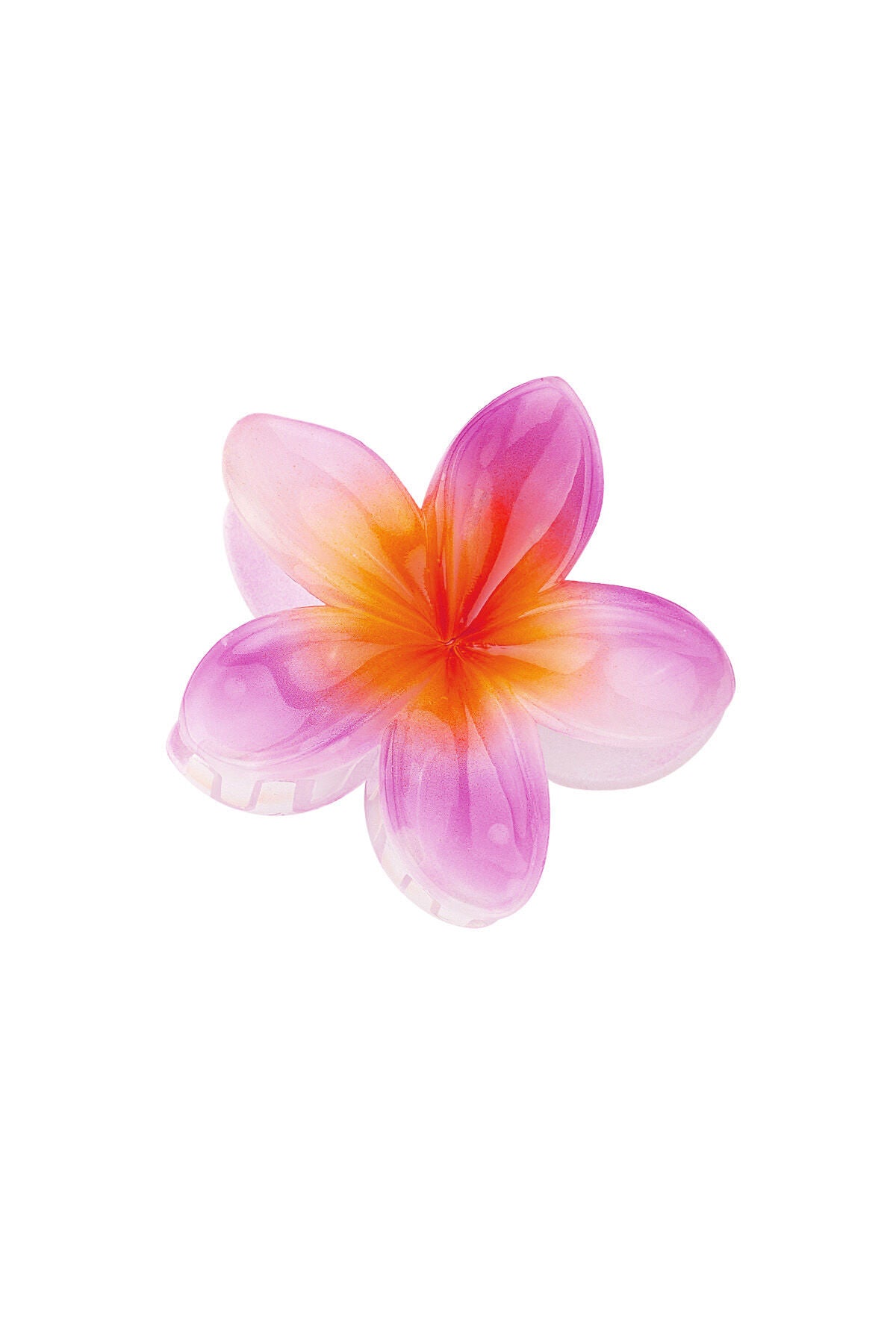 Colorful Plastic Hair Clips for Stylish Looks