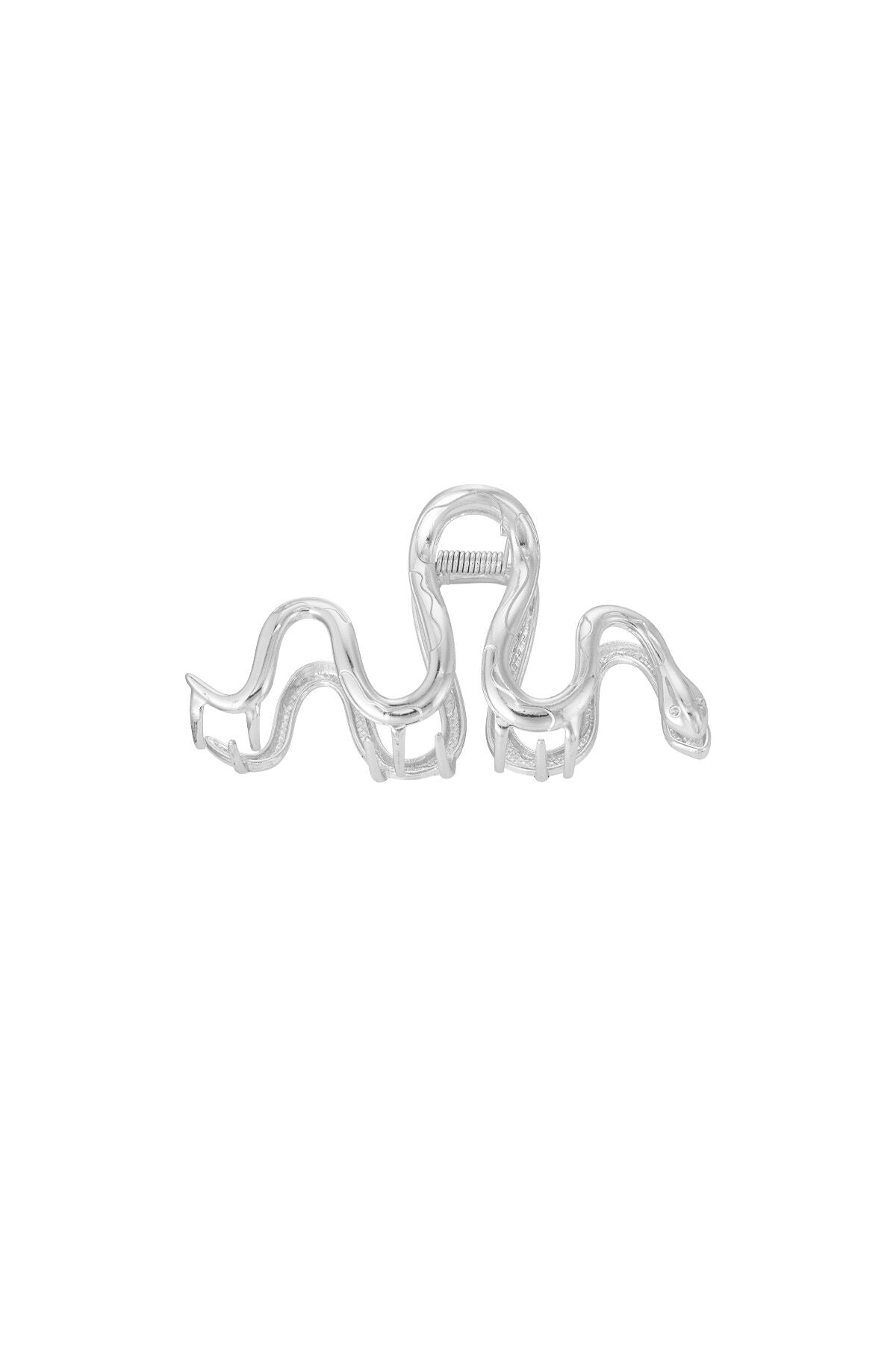 Elegant Silver & Gold Alloy Hair Clips