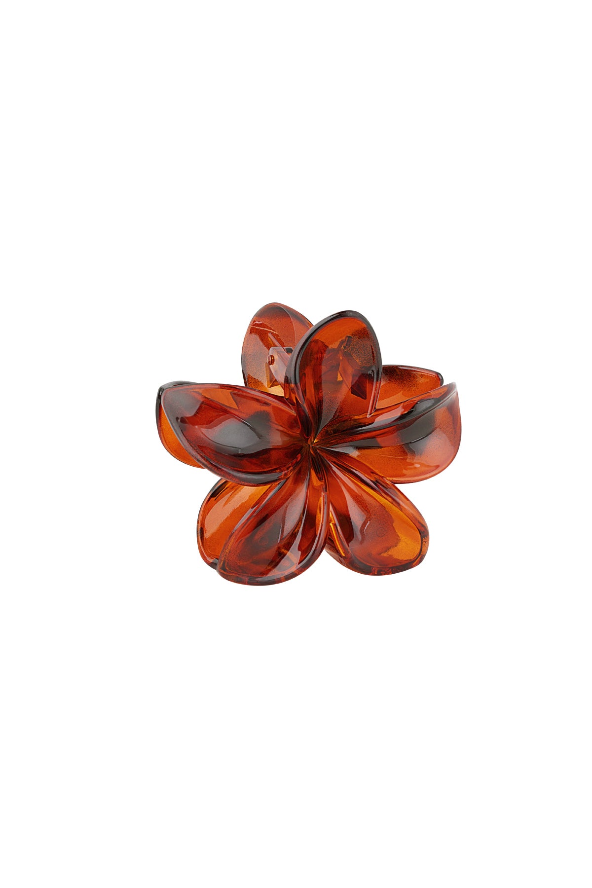 Stylish Plastic Hair Clips for Women - Fall/Winter Essentials