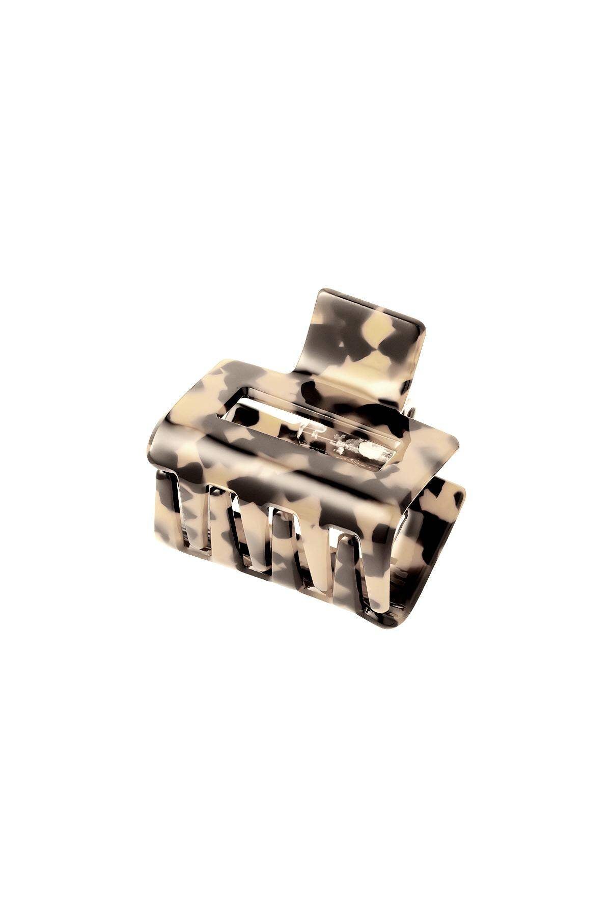 Stylish Hair Clips in Trendy Colors