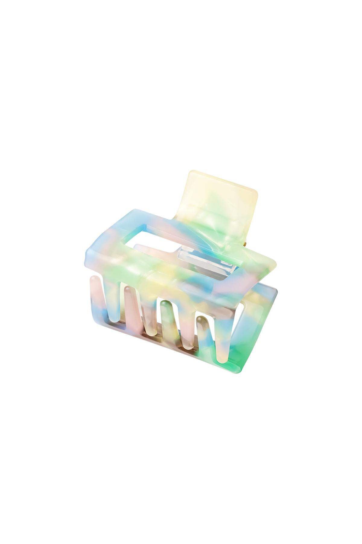 Stylish Hair Clips in Trendy Colors