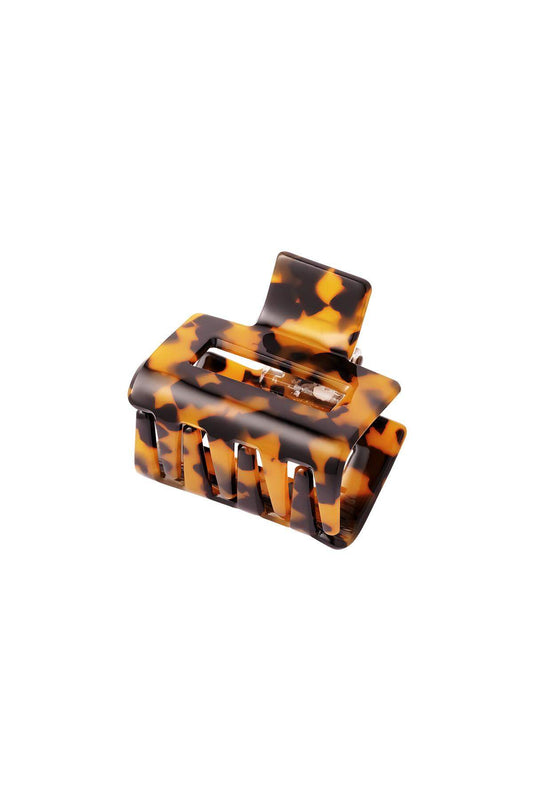 Stylish Hair Clips in Trendy Colors