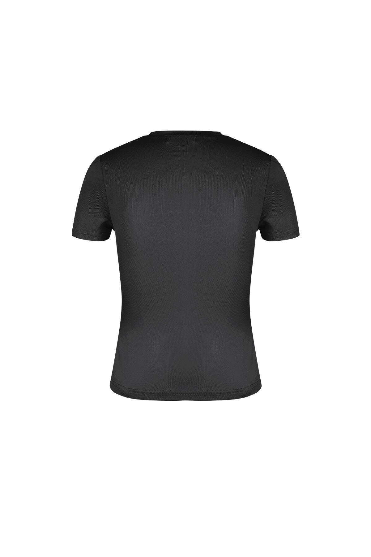 Elegant Short Sleeve Tops for Effortless Style