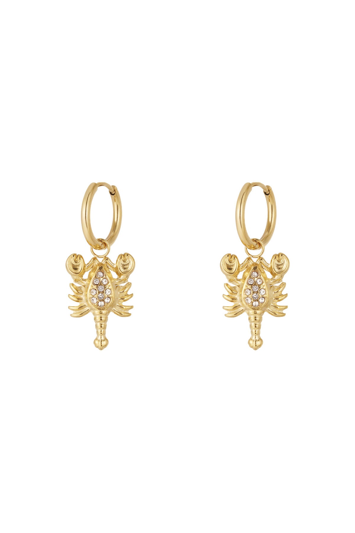 Elegant Drop Earrings for Women - Silver & Gold