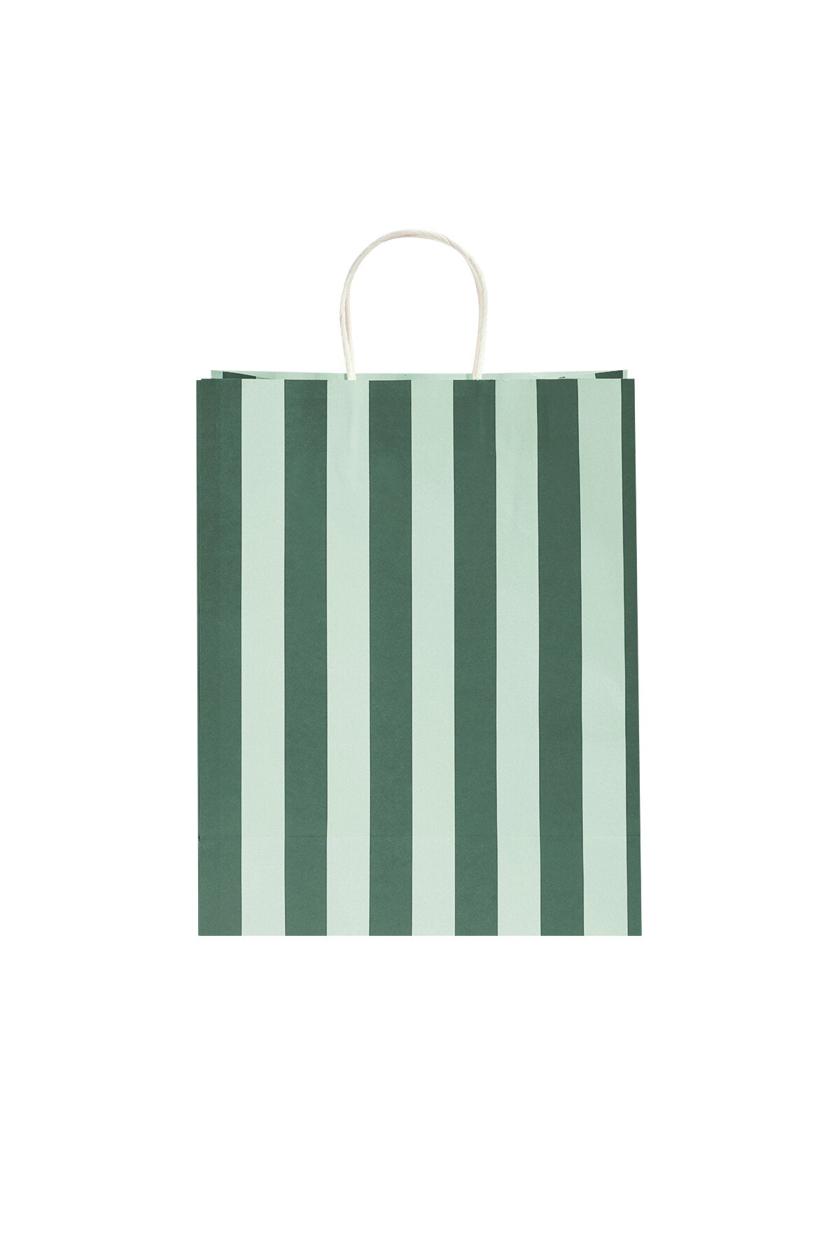 Eco-Friendly Paper Shopping Bags in Vibrant Colors