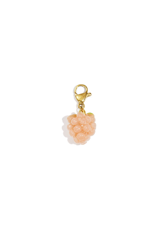 Charming Pink & Blue Fruit Resin Necklace
