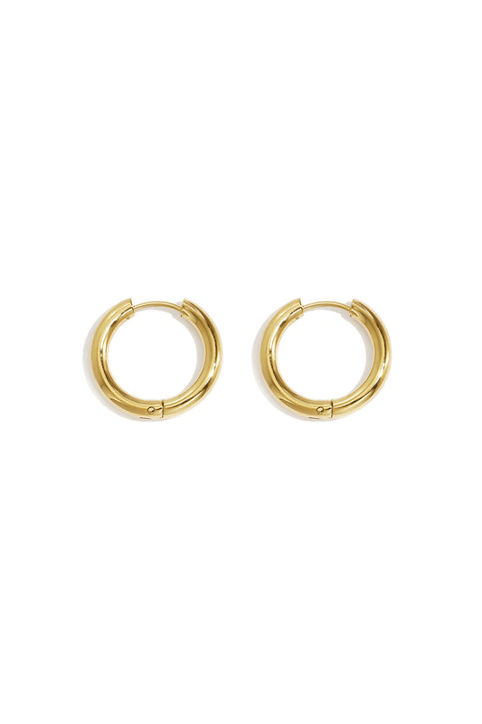 Elegant Stainless Steel Hoop Earrings - Silver & Gold