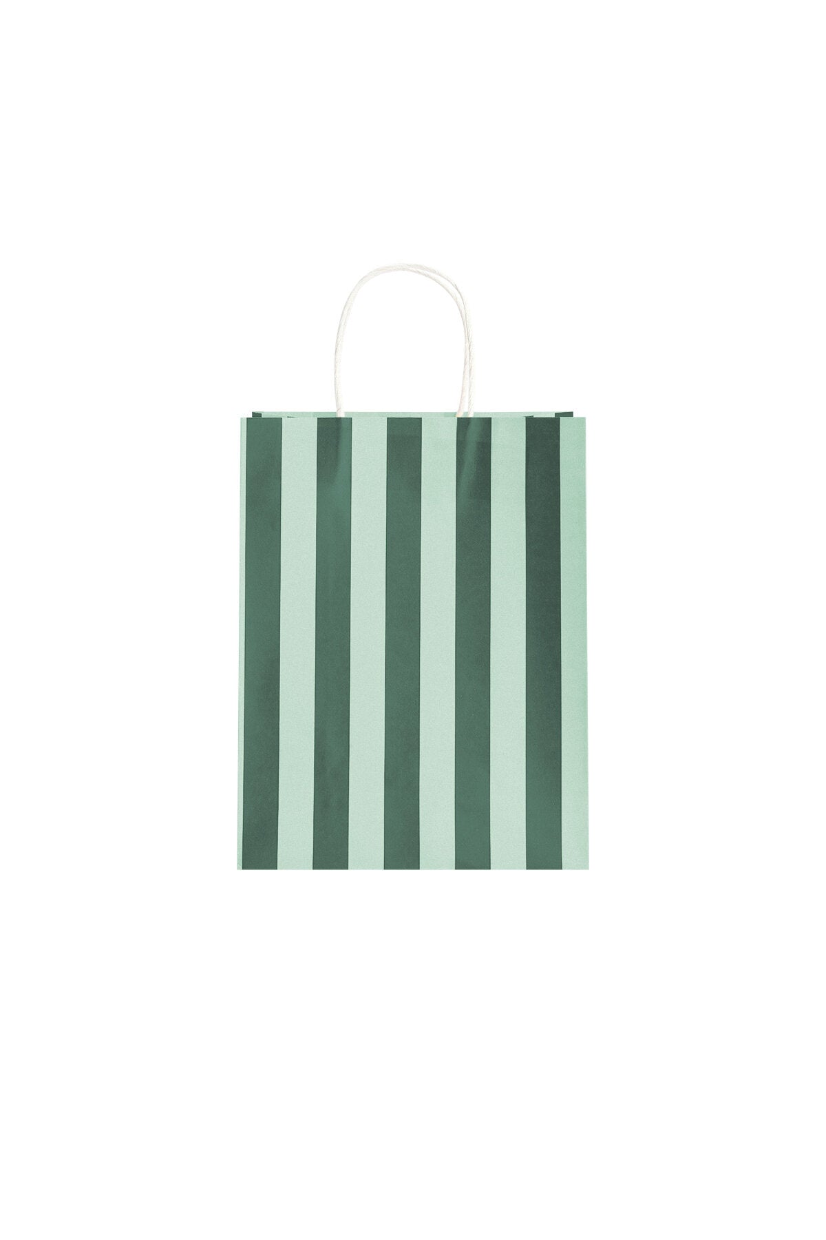 Eco-Friendly Paper Shopping Bags in Vibrant Colors