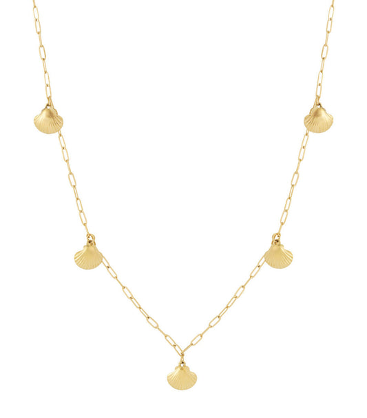 Elegant Gold Long Necklace with Shell, Perfect for Spring/Summer